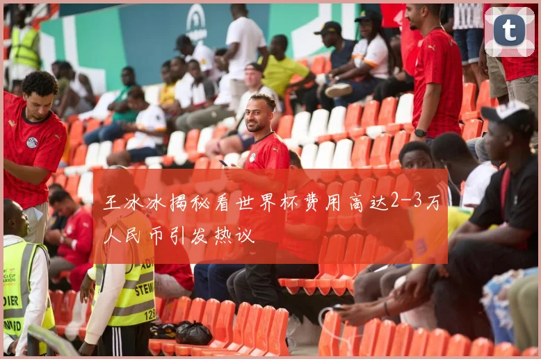 王冰冰揭秘看世界杯费用高达2-3万人民币引发热议