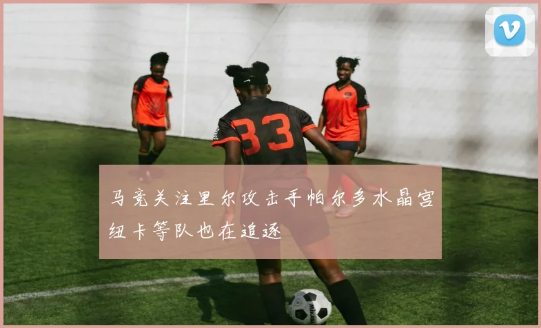马竞关注里尔攻击手帕尔多水晶宫纽卡等队也在追逐